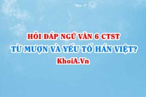 Từ mượn là gì? yếu tố Hán Việt là gì? Ví dụ? Ngữ văn lớp 6 CTST